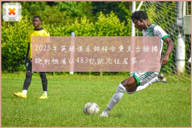 2025年英超俱乐部转会费支出榜揭晓利物浦以483亿欧元位居第一